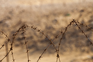 Barb wire