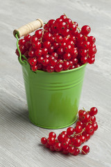 Green bucket with red currants