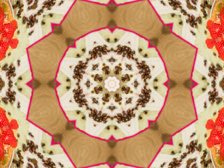 Obraz na płótnie Canvas Ethnic pattern. Abstract kaleidoscope fabric design.