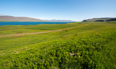 Reykjanes peninsula in summer