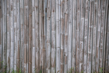 Wall  bamboo