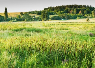 Вид на деревню
