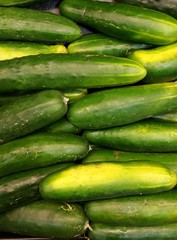 Cucumbers at a Produce Stand