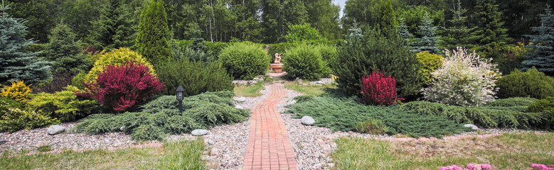 Beauty bushes in the garden
