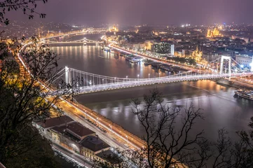 Foto op Plexiglas The Danube River passing through Budapest, with its emblematic bridges © David_Evora
