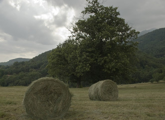 le due rotoballe di fieno sul prato