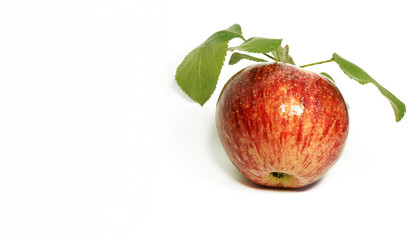 frischer Apfel 