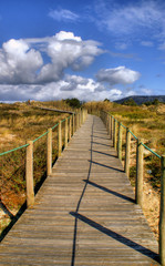 Fototapeta na wymiar Paths on the beach in Portugal