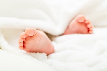 Baby, Newborn, Human Foot.