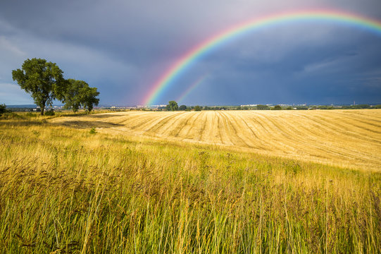 colorful rainbow after the storm passing over a field of grain