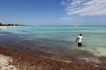 Obraz premium catch of fish 