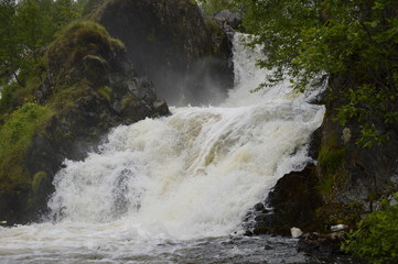 Северная природа