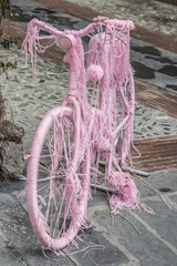 Rosa Drahtesel