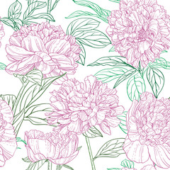 Seamless pattern of pink peonies graphics