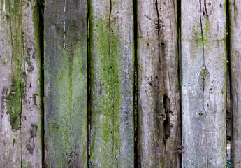 Obraz premium Holzbalken Textur