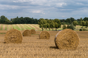 Feld mit Strohballen - Märkische Schweiz