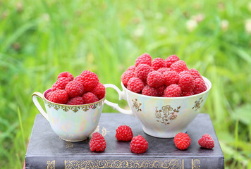 Two cups of raspberry standing on the grey book. Grey book on green grass. Raspberry in white little cup. Harvest of raspberry