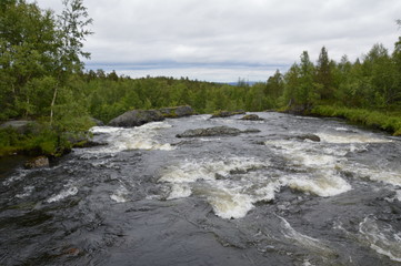 Северная природа