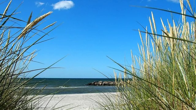 Ostseek&uuml;ste im Sommer