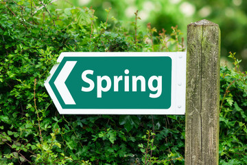 Direction Arrow, Sign To Spring in Green Color