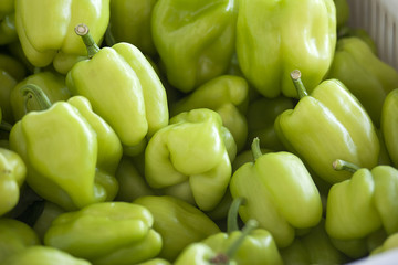 Green peppers
