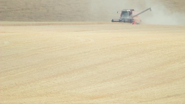 Agriculture , culture et r&eacute;colte