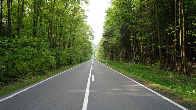 Stra&szlig;e durch einen Laubwald/Lange, gerade Stra&szlig;e durch einen Wald im Erzgebirge in Sachsen, zweispurige Asphaltstra&szlig;e mit Markierung