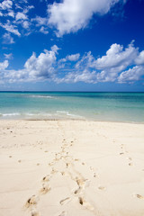 Fototapeta premium Paradis perdu