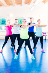 Naklejka premium Group of fitness people in gym at aerobics