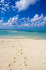 Fototapeta premium Ilot de sable blanc Mayotte