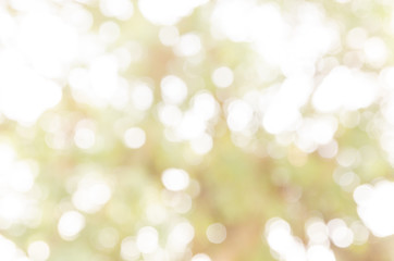 bokeh abstract light and blur backgrounds