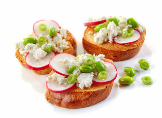 toasted bread with radish and cottage cheese