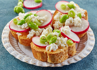 toasted bread with radish and cottage cheese