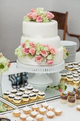 Fototapeta na wymiar wedding cake
