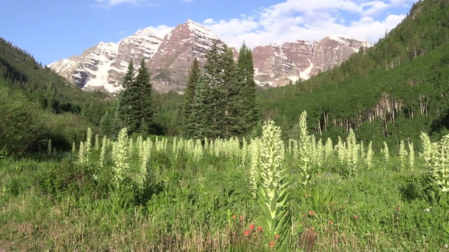 Maroon Bells Aspen Colorado Summer Landscape