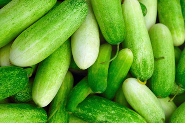 cucumber  green and Food Pile of fresh  lying diagonally