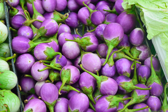Eggplant purple for Farm