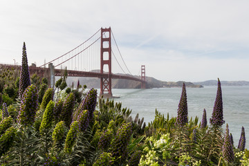 Golden Gate Bridge