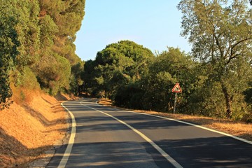 Estrada Nacional 377