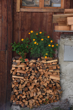 catasta legna con fiori giardino casa montagna