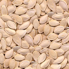 Pumpkin Seeds Seamless Background