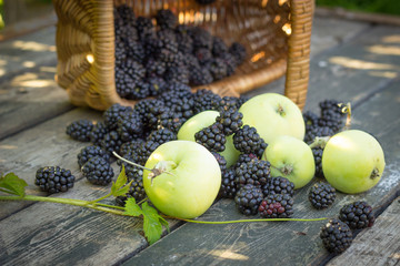 Papirovka grade apples, white apples and blackberries black on a