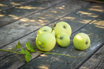 Papirovka grade apples, white apple on old wooden table top