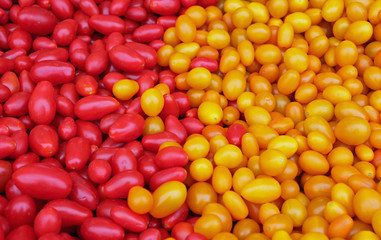 Closeup of Red and Yellow Jellybean Tomatoes