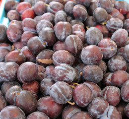 Closeup of Fresh Plums at the Farmers' Market
