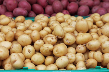 Golden Baby Potatoes at the Farmers' Market