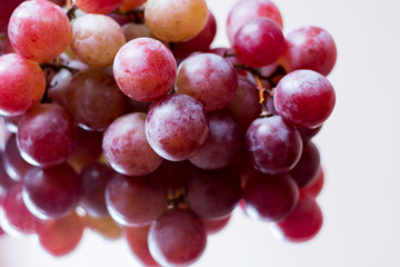 Red grape