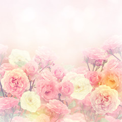Obraz na płótnie Canvas Roses Background