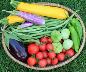 Basket of Garden Ripe Vegetables