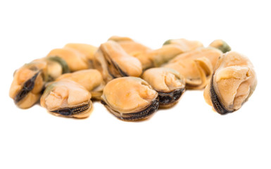mussels